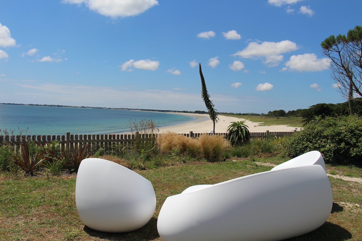 Salon de jardin dans le jardin clos de 2 500 m²